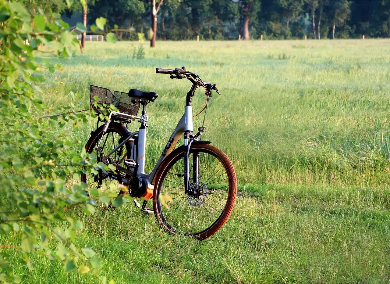 Cortina e-bikes kopen: vind de perfecte Cortina e-bike