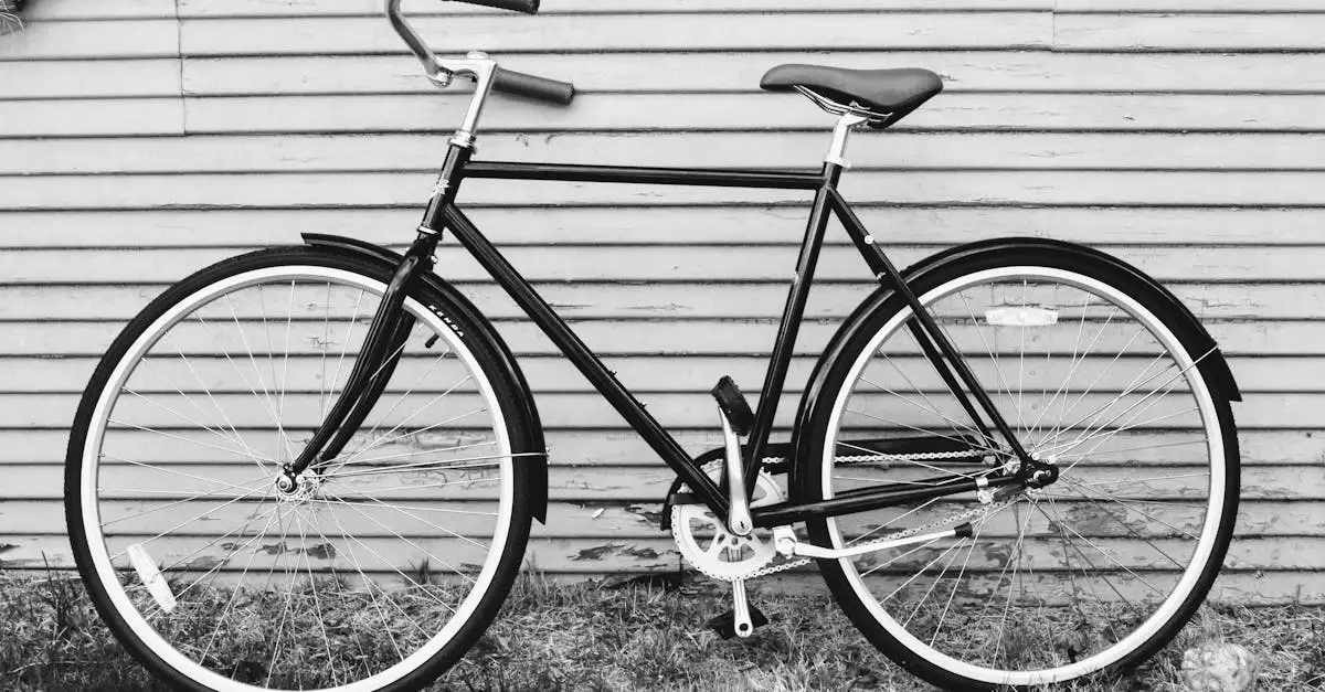 De klassieke omafiets: een comfortabele en stijlvolle stadsfiets.