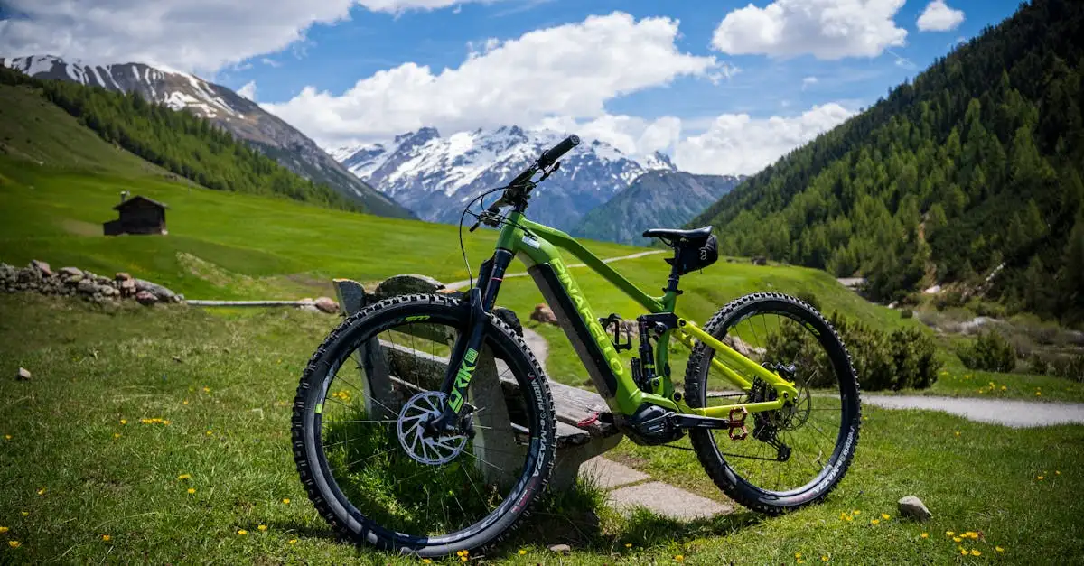 Elektrische mountainbike: Krachtige e-MTB's ontdekken