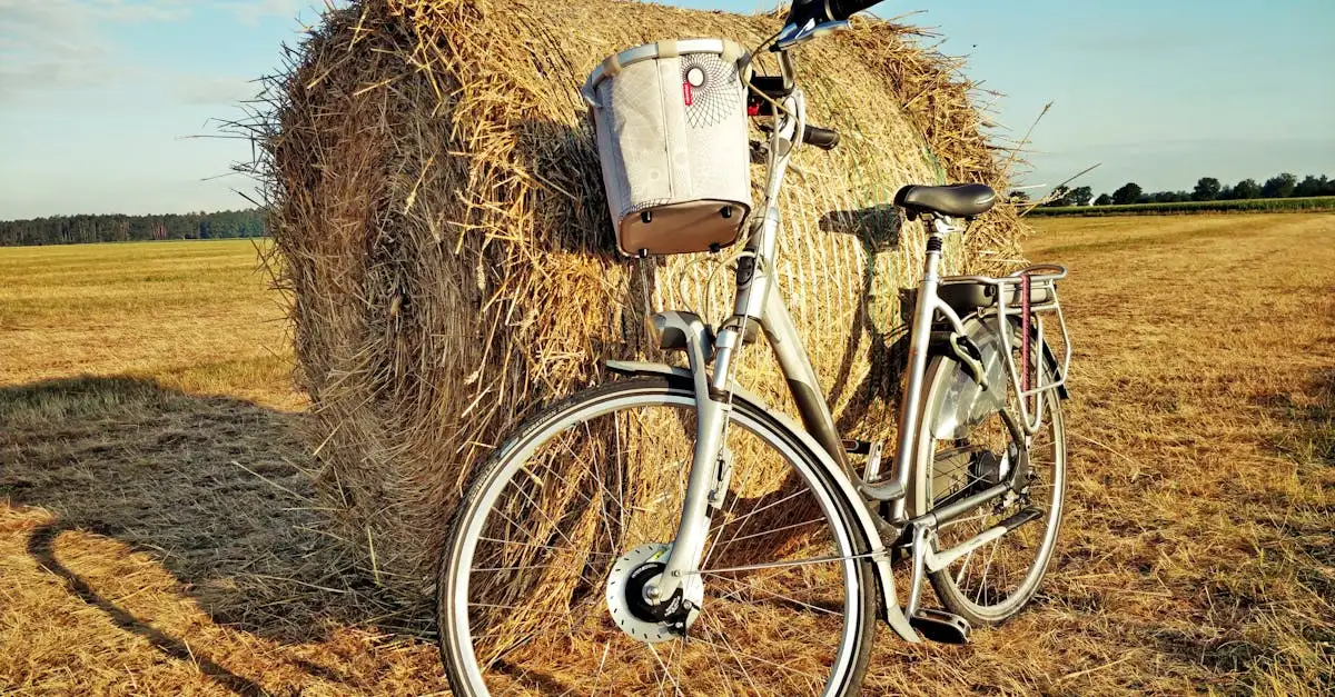 Gazelle Chamonix fiets kopen | Ontdek de collectie
