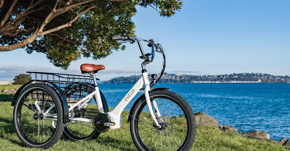 Elektrische mama fiets kopen | Veilig en comfortabel fietsen