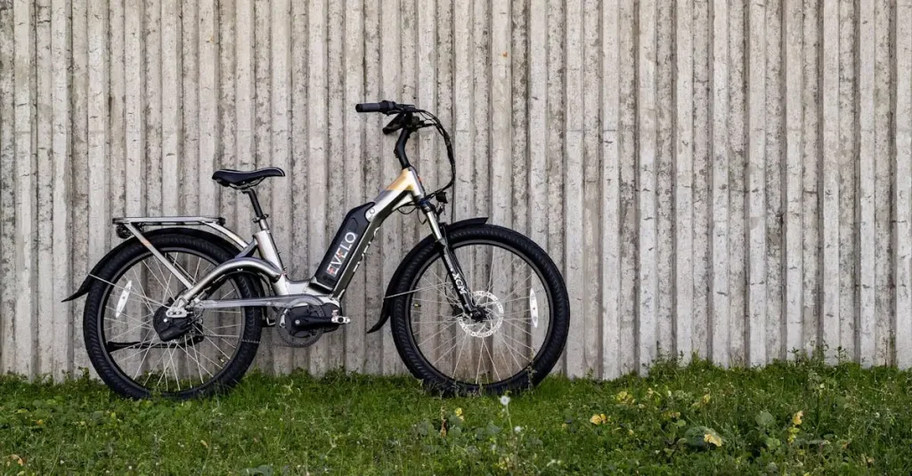 Lage instap e-bike kopen? Ontdek ons assortiment