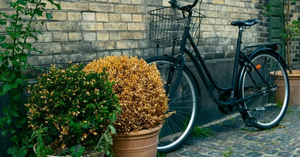 Meisjesfiets 14 inch kopen | Veilig en stoer model