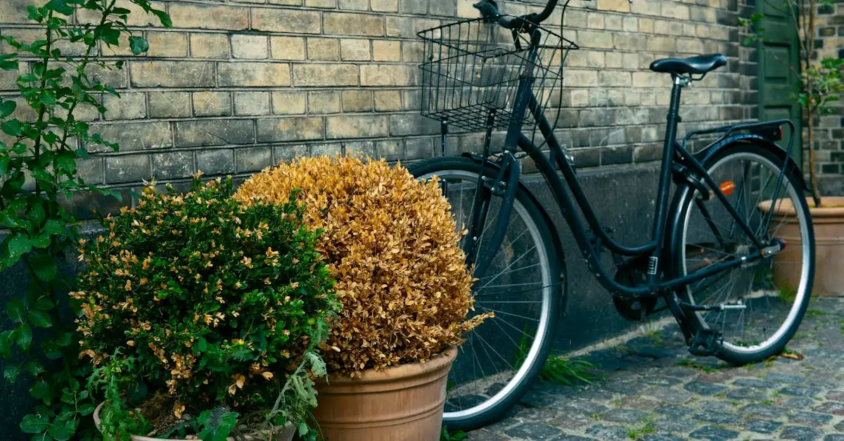Meisjesfiets 14 inch kopen | Veilig en stoer model