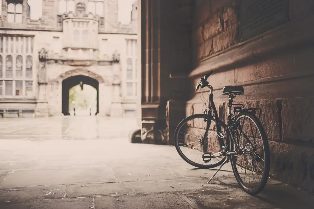 Montagestandaard fiets kopen? Sterke en stabiele modellen